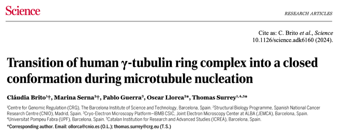 Science重磅：首次捕獲人類細(xì)胞“高速公路”構(gòu)建過程的高分辨率圖像，為微管相關(guān)疾病的治療指明新的方向！